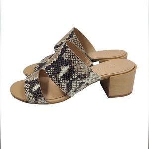 SOLD Madewell snakeskin mules